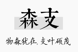 森支名字的寓意及含义