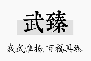 武臻名字的寓意及含义