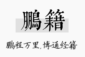 鹏籍名字的寓意及含义