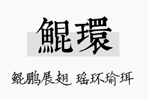 鲲环名字的寓意及含义