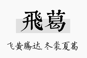 飞葛名字的寓意及含义