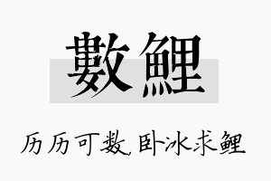 数鲤名字的寓意及含义