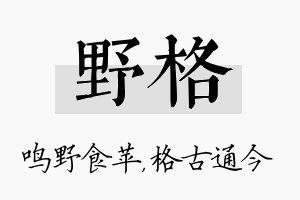 野格名字的寓意及含义