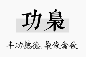 功枭名字的寓意及含义