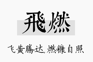 飞燃名字的寓意及含义