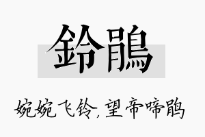 铃鹃名字的寓意及含义