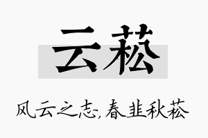 云菘名字的寓意及含义