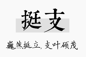 挺支名字的寓意及含义