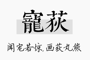 宠荻名字的寓意及含义