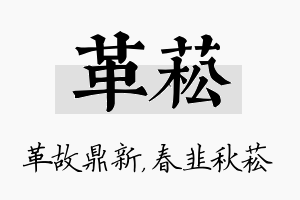 革菘名字的寓意及含义