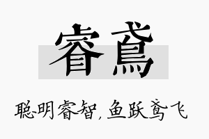 睿鸢名字的寓意及含义