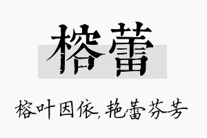 榕蕾名字的寓意及含义