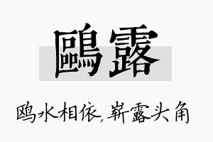 鸥露名字的寓意及含义