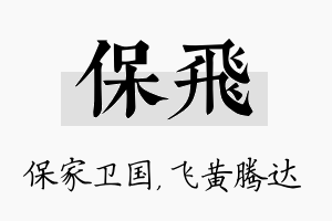 保飞名字的寓意及含义