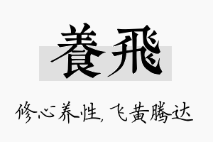 养飞名字的寓意及含义