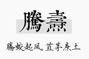 腾焘名字的寓意及含义