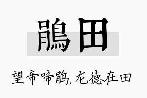 鹃田名字的寓意及含义