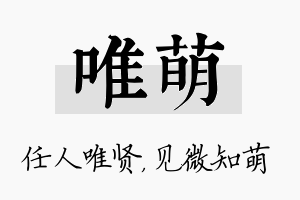 唯萌名字的寓意及含义