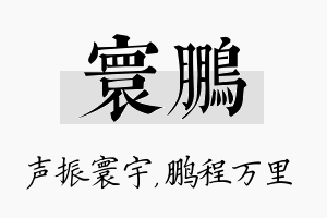 寰鹏名字的寓意及含义