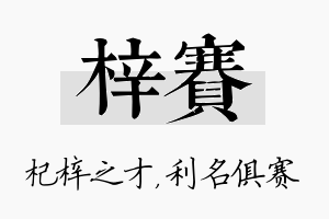 梓赛名字的寓意及含义