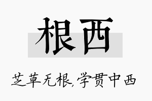 根西名字的寓意及含义