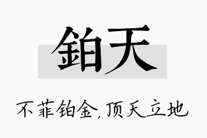 铂天名字的寓意及含义