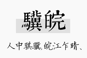 骥皖名字的寓意及含义