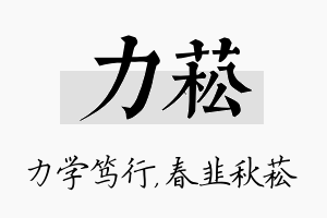 力菘名字的寓意及含义