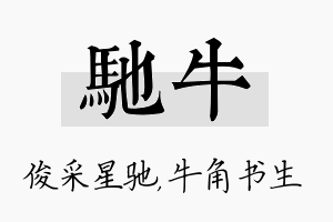 驰牛名字的寓意及含义