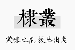 棣丛名字的寓意及含义