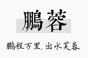 鹏蓉名字的寓意及含义