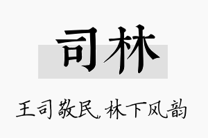 司林名字的寓意及含义