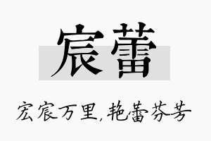 宸蕾名字的寓意及含义