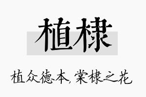 植棣名字的寓意及含义