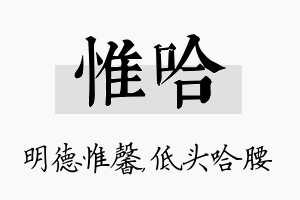 惟哈名字的寓意及含义