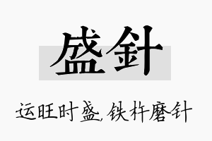 盛针名字的寓意及含义