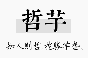 哲芋名字的寓意及含义