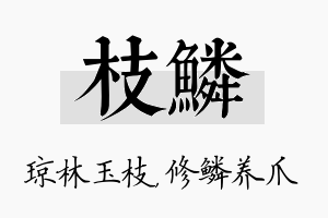 枝鳞名字的寓意及含义