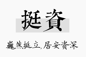 挺资名字的寓意及含义