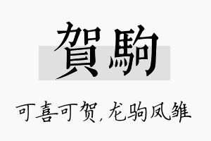 贺驹名字的寓意及含义