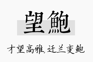 望鲍名字的寓意及含义