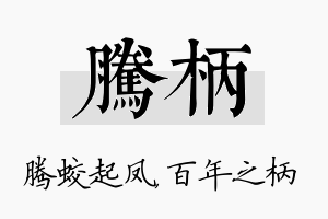 腾柄名字的寓意及含义