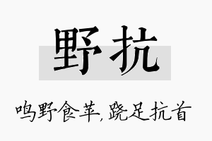 野抗名字的寓意及含义