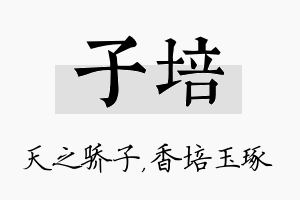 子培名字的寓意及含义