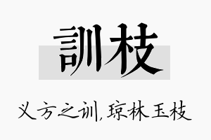 训枝名字的寓意及含义