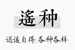 遥种名字的寓意及含义