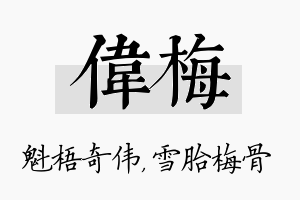 伟梅名字的寓意及含义