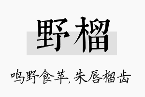 野榴名字的寓意及含义