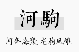 河驹名字的寓意及含义