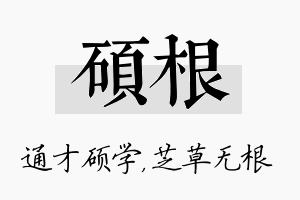 硕根名字的寓意及含义